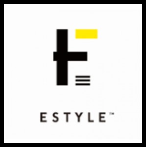 株式会社エスタイル