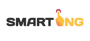 スマートアイエンジー株式会社