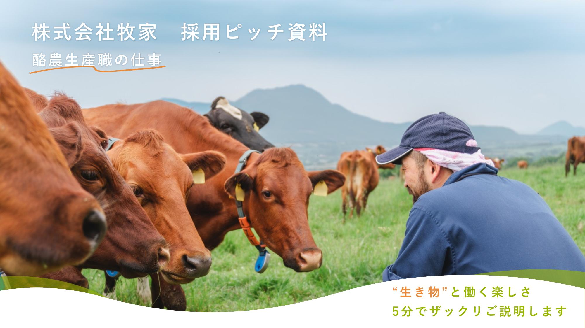 資料サムネイル