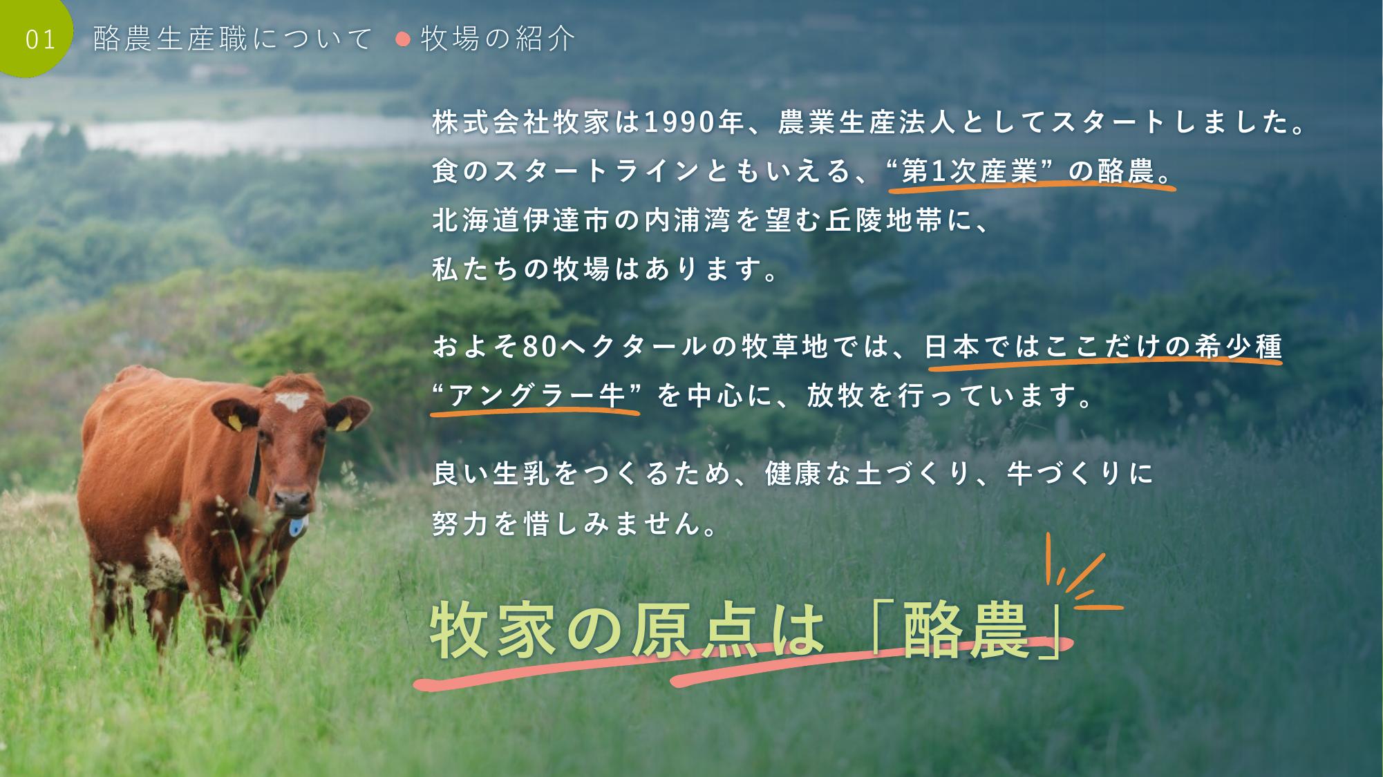 採用ピッチ資料 5ページ
