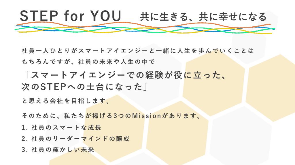 採用ピッチ資料 5ページ