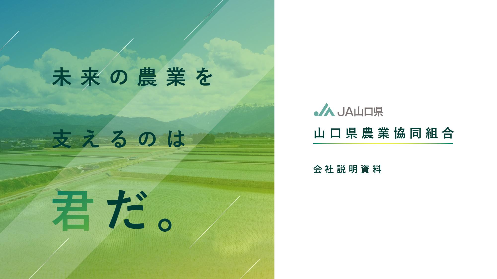 資料サムネイル
