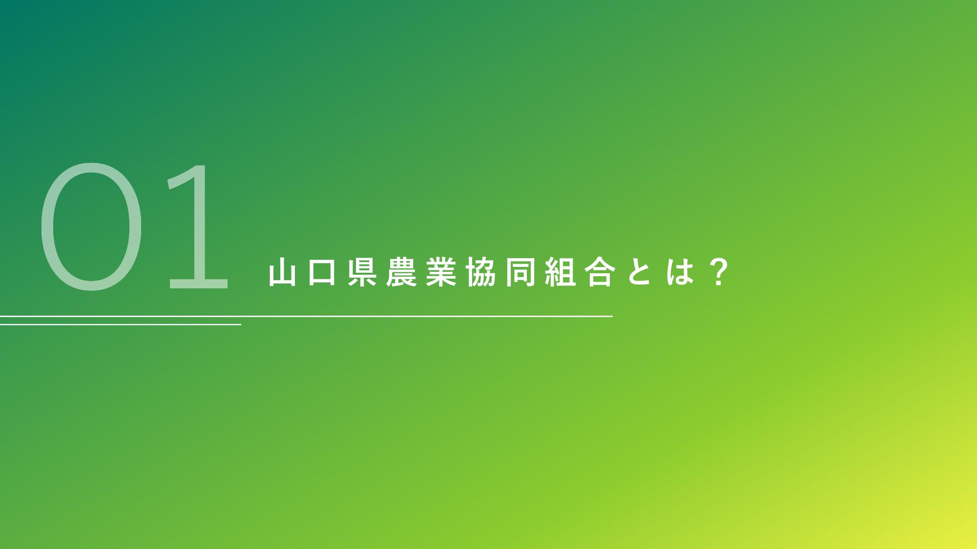 採用ピッチ資料 2ページ