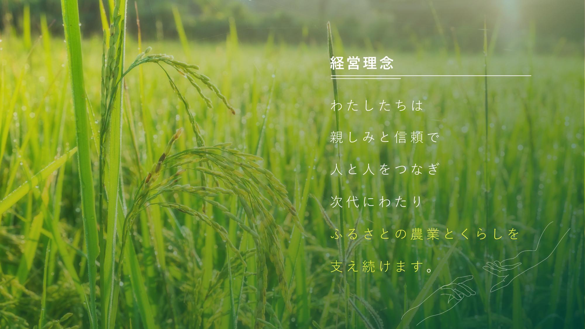 採用ピッチ資料 3ページ