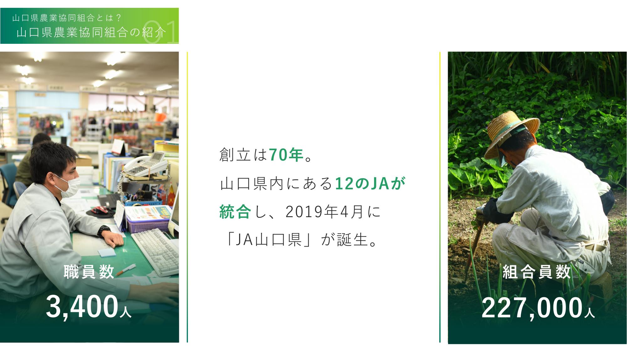採用ピッチ資料 4ページ