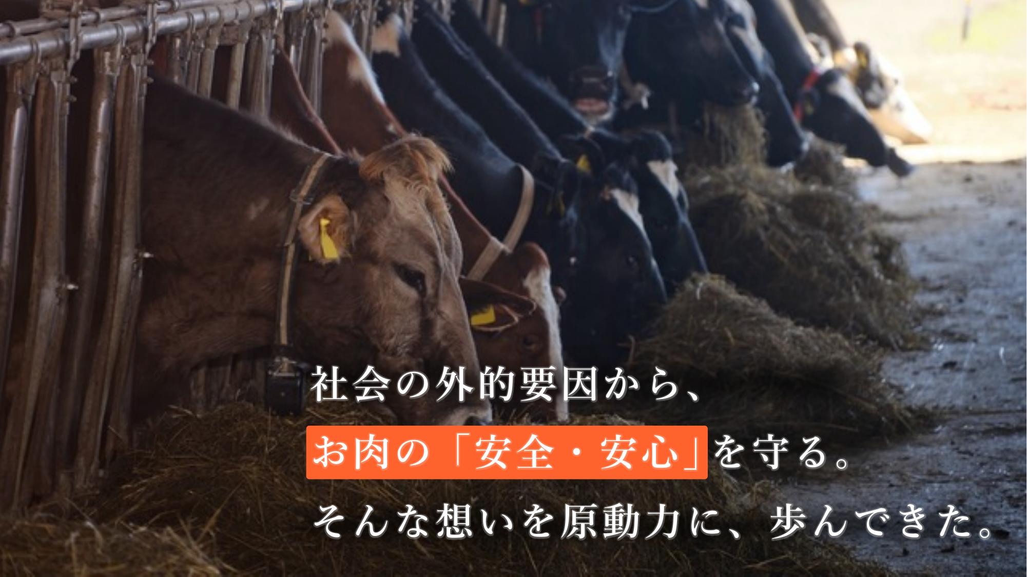 採用ピッチ資料 3ページ