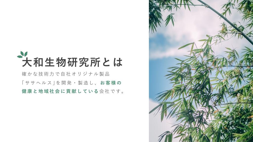 採用ピッチ資料 4ページ