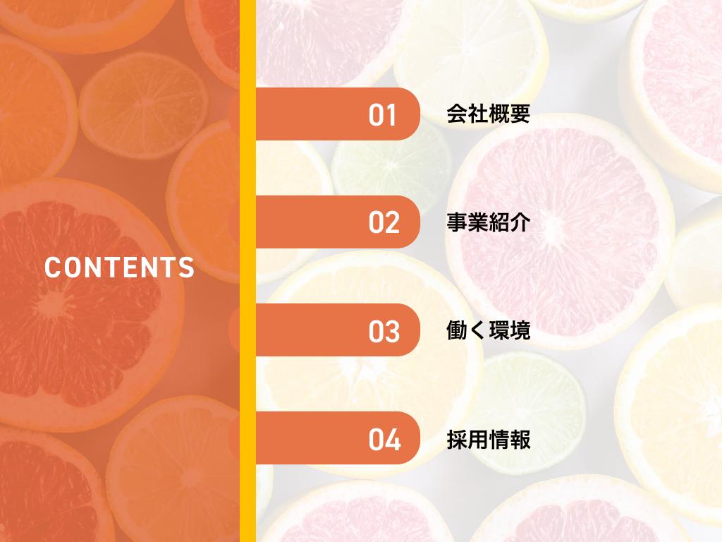 採用ピッチ資料 2ページ