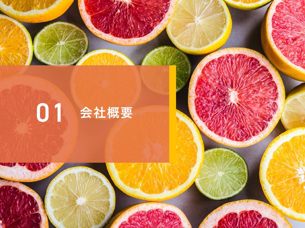 採用ピッチ資料 3ページ