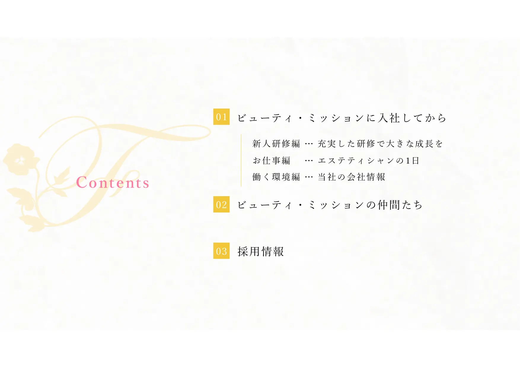 採用ピッチ資料 2ページ