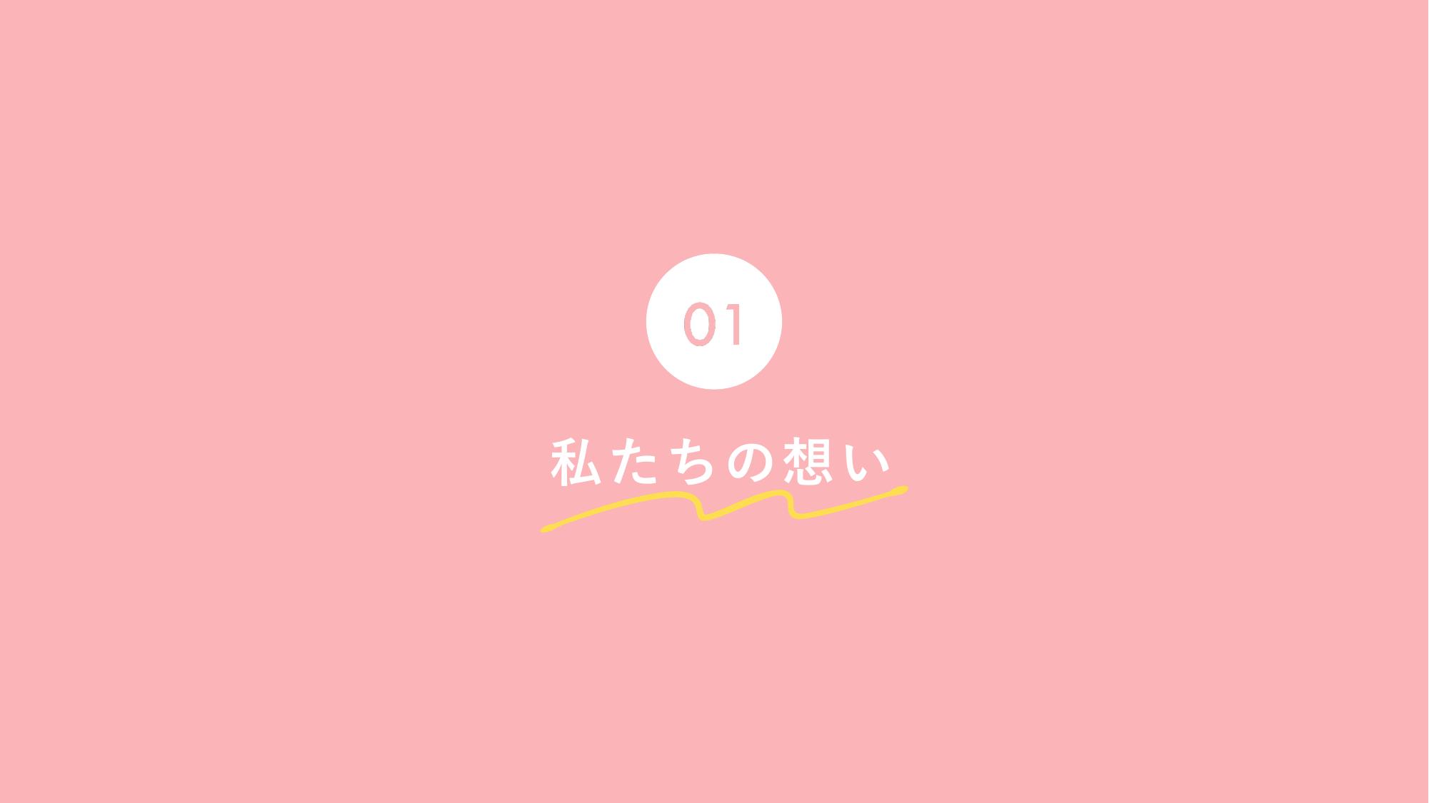 採用ピッチ資料 5ページ